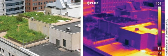 Srovnání teplot povrchů zelených střech