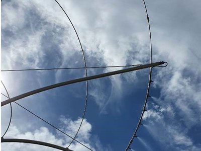 Chytrý strom - popínavý uliční strom AS-POUSTR - vodní mlha